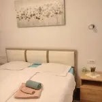 Oasis *